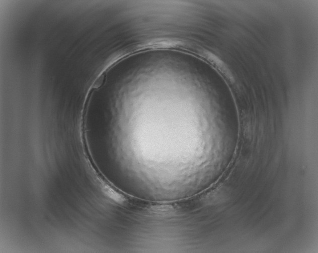 X0000071941186200607141425