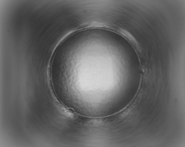 X0000071941190200607141425