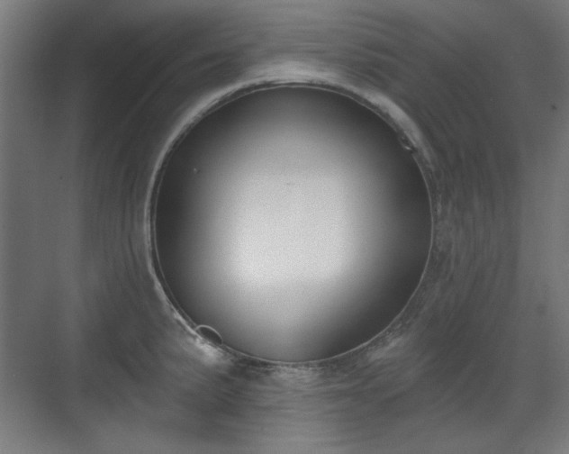 X0000071941191200607141425