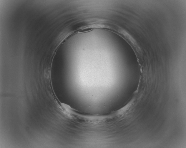X0000071941193200607141425