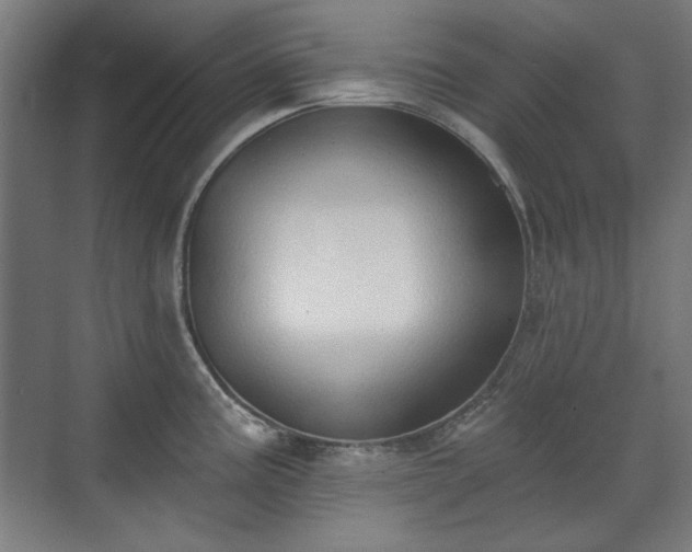 X0000071941195200607141425