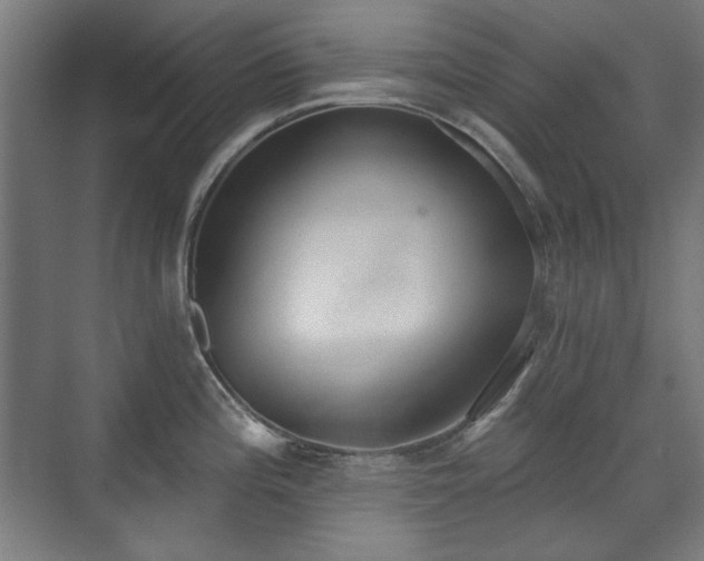 X0000071941196200607141425