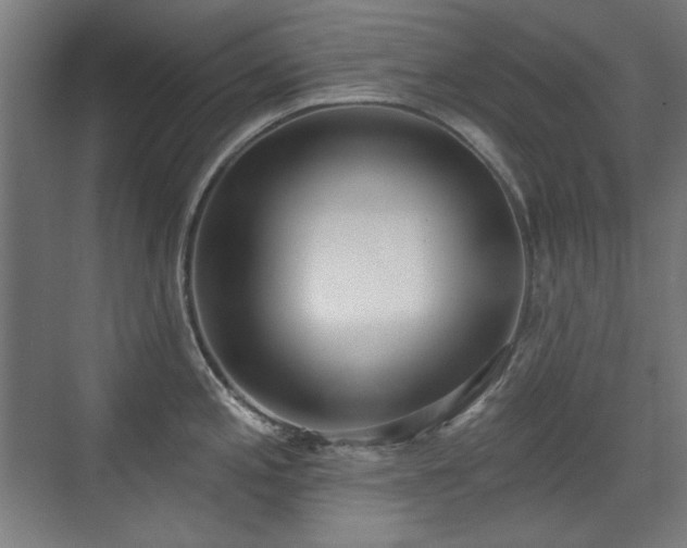 X0000071941197200607141425