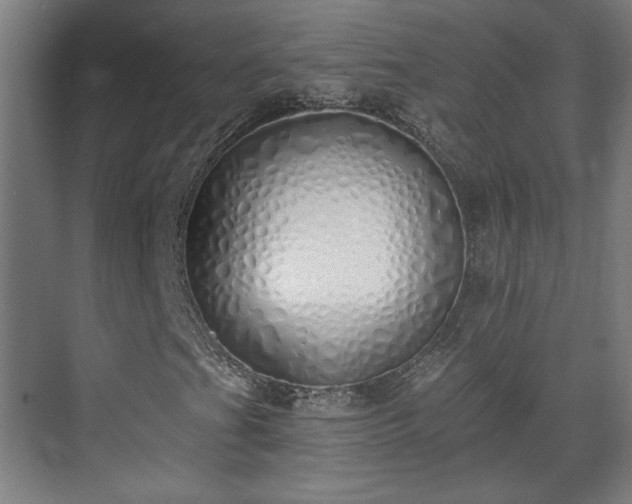 X0000071941201200607141424
