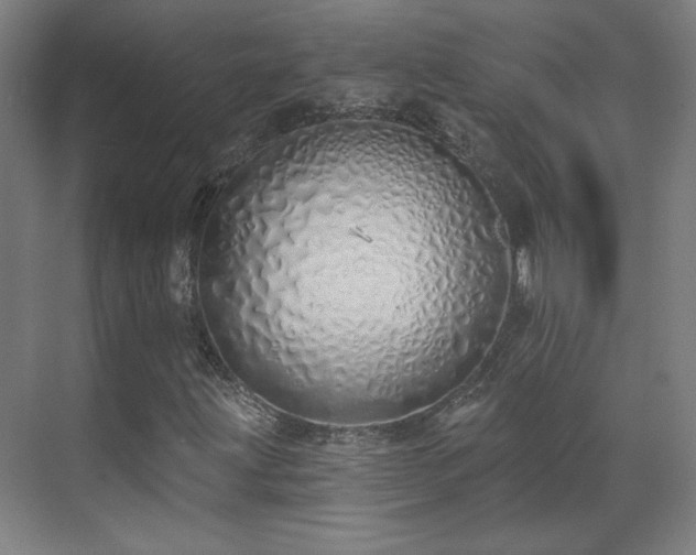 X0000071941203200607141424