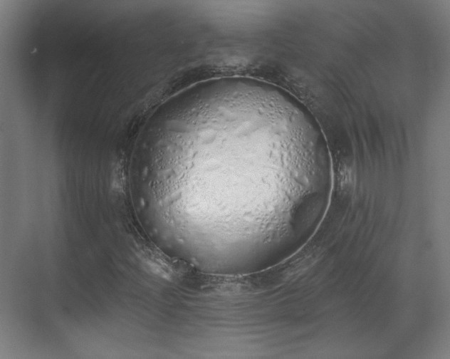 X0000071941204200607141424
