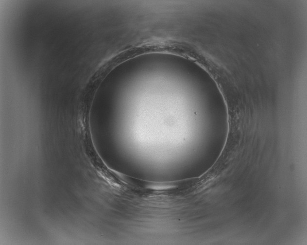 X0000071941206200607141424