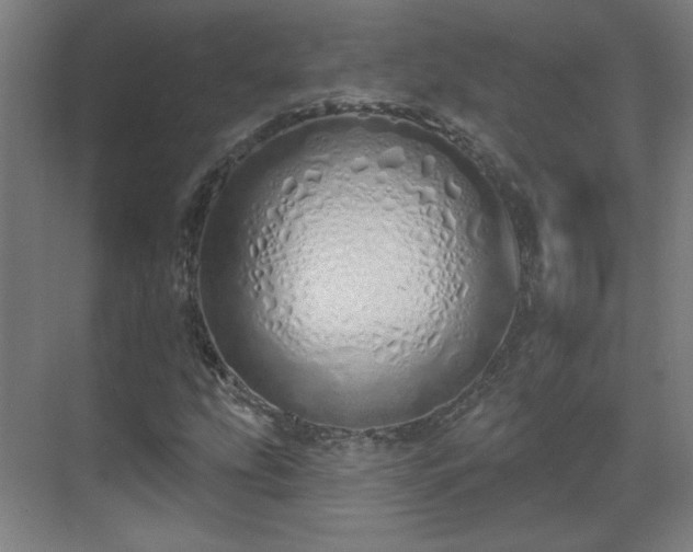 X0000071941207200607141424