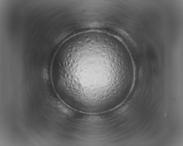 X0000071941209200607141424