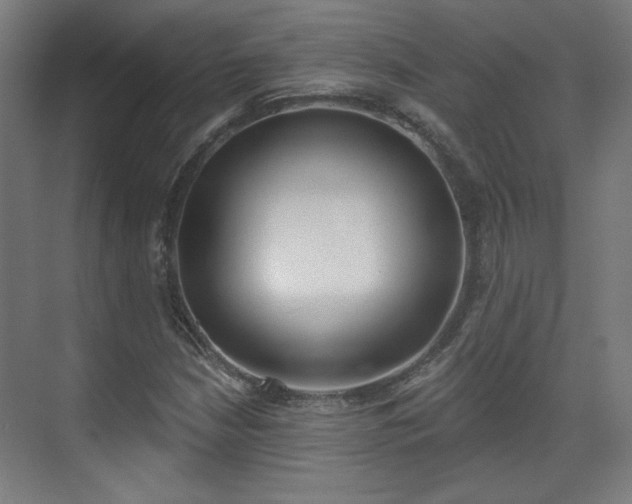 X0000071941210200607141424