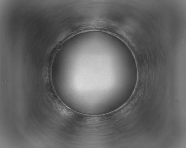 X0000071941211200607141424