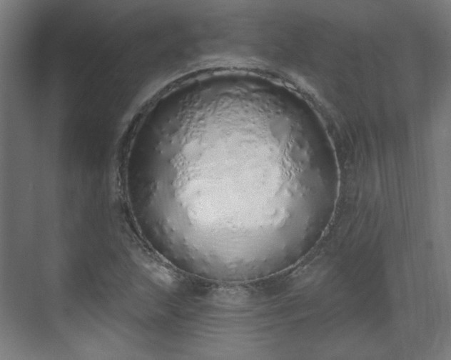 X0000071941215200607141424