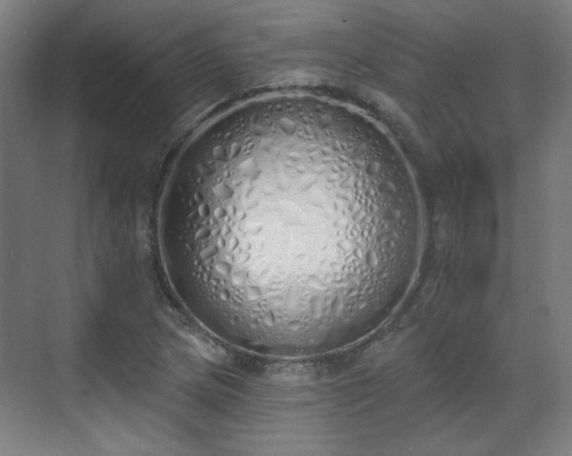 X0000071941217200607141424