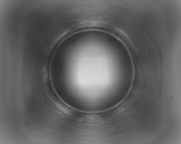 X0000071941218200607141424