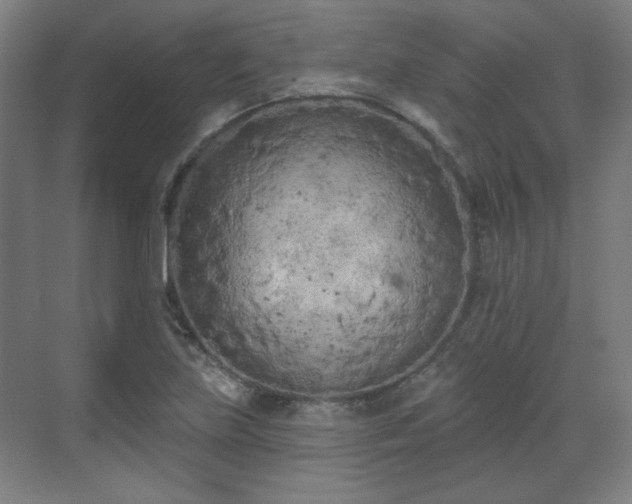 X0000071941219200607141424