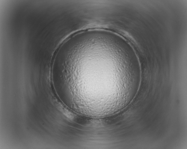 X0000071941220200607141424