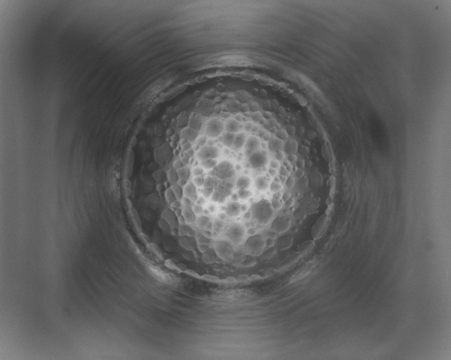 X0000071941225200607141424