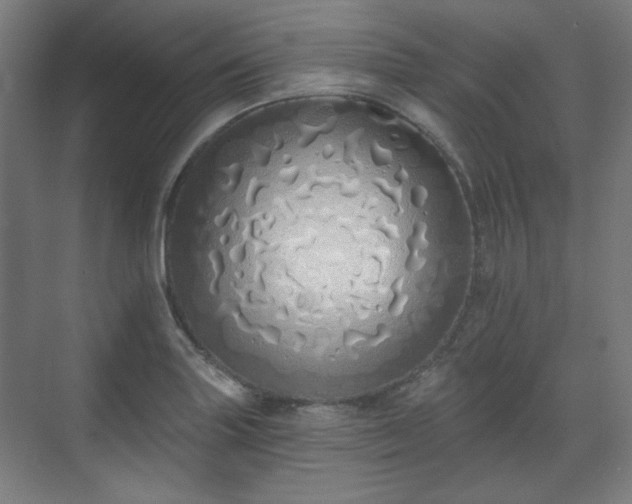 X0000071941227200607141424
