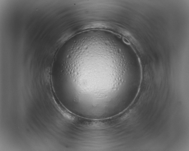 X0000071941233200607141424