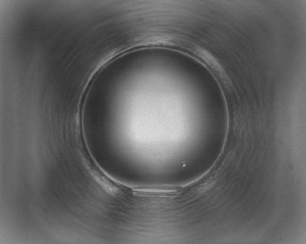 X0000071941234200607141424