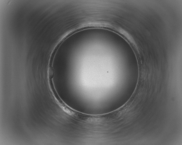 X0000071941237200607141425