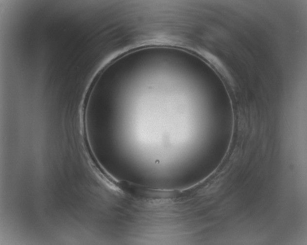 X0000071941238200607141425