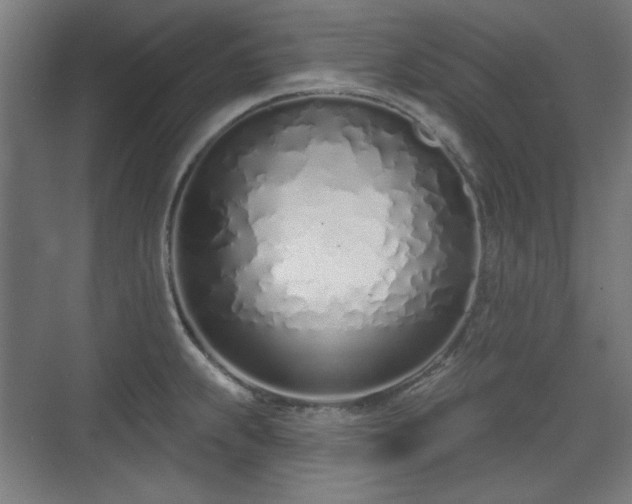 X0000071941239200607141425