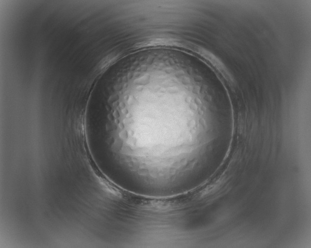 X0000071941241200607141425