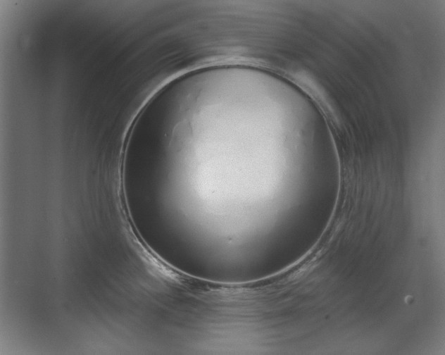 X0000071941244200607141425
