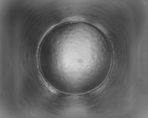X0000071941248200607141425