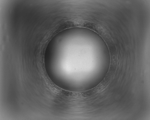 X0000071941249200607141424