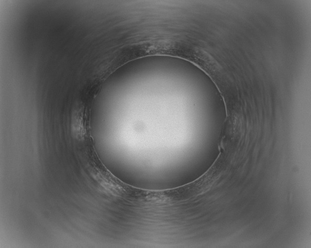 X0000071941250200607141424