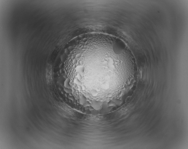 X0000071941251200607141424