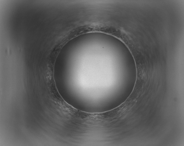 X0000071941253200607141424