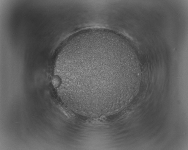 X0000071941255200607141424