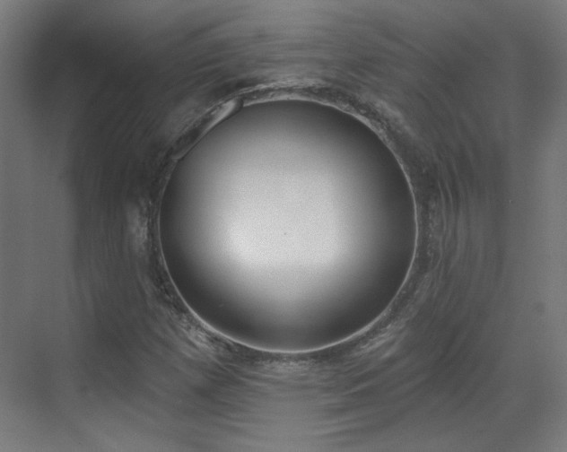 X0000071941257200607141424