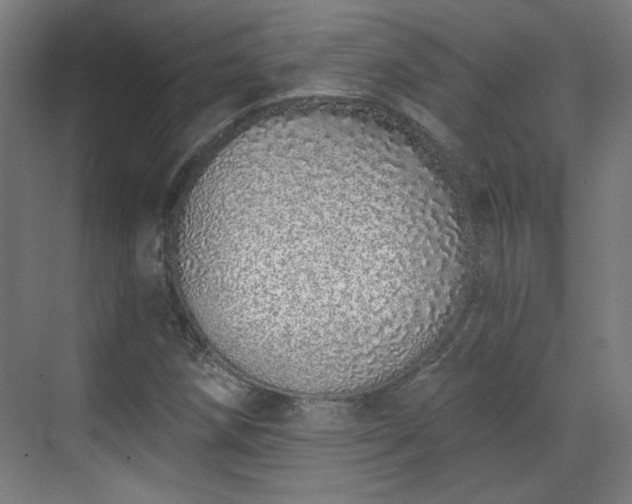 X0000071941258200607141424