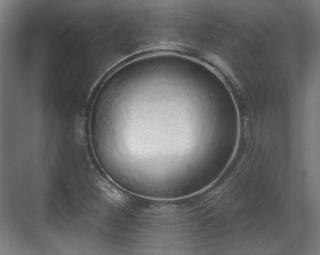 X0000071941260200607141424