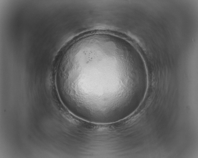 X0000071941263200607141424