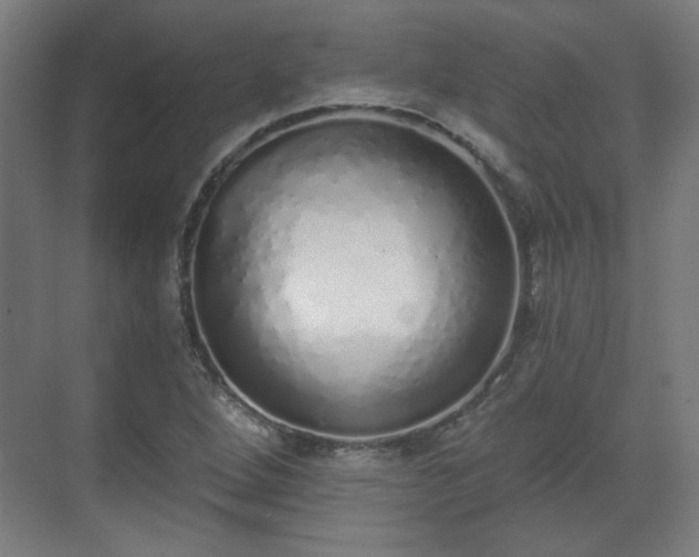 X0000071941264200607141424