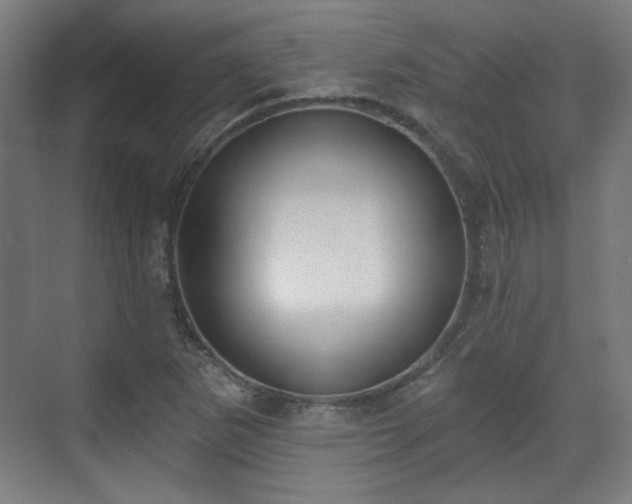 X0000071941265200607141424