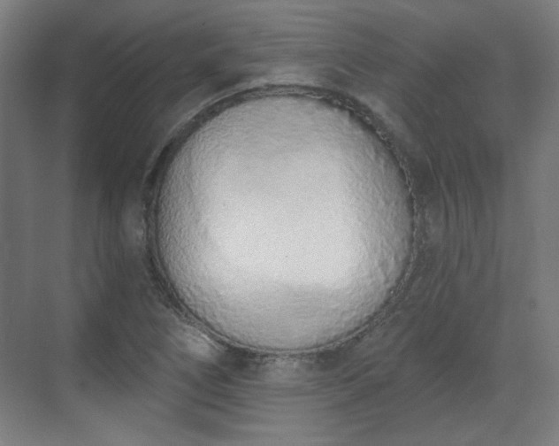 X0000071941266200607141424