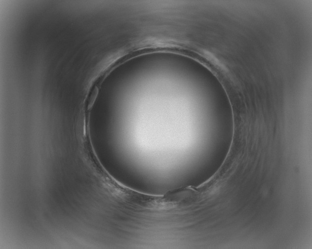 X0000071941269200607141424