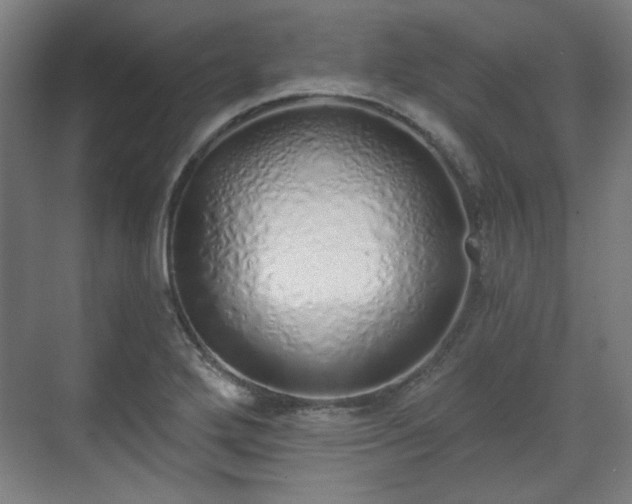 X0000071941272200607141424