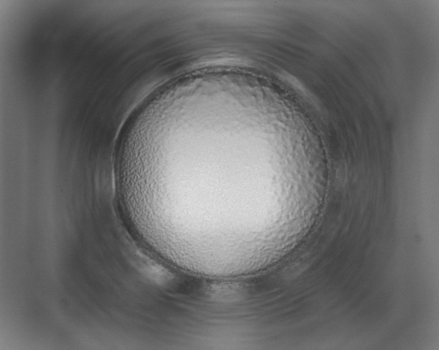 X0000071941274200607141423