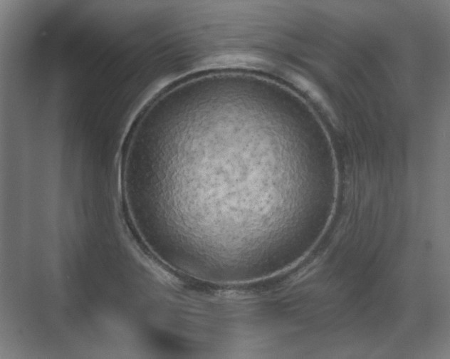 X0000071941275200607141423