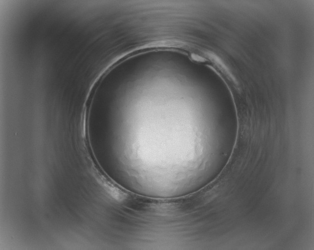 X0000071941276200607141423