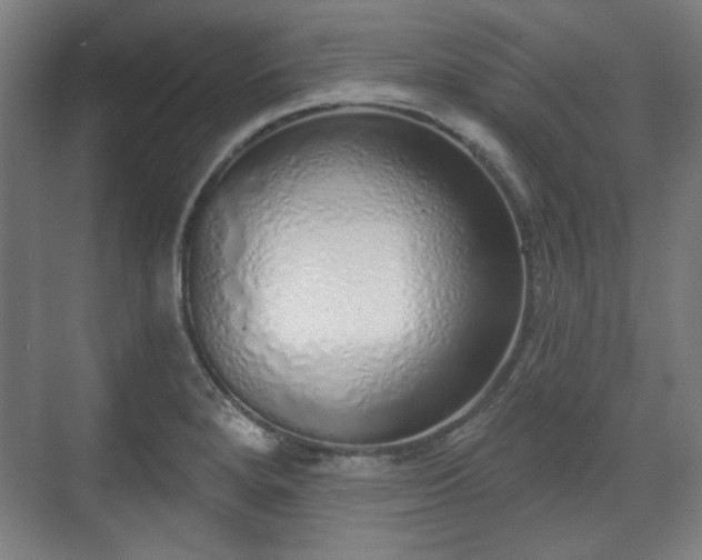 X0000071941280200607141423