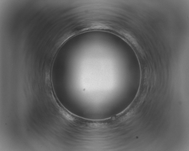 X0000071941281200607141423