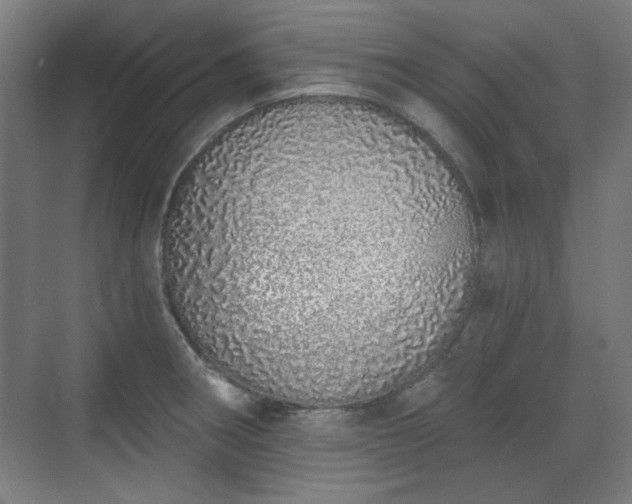 X0000071941282200607141423